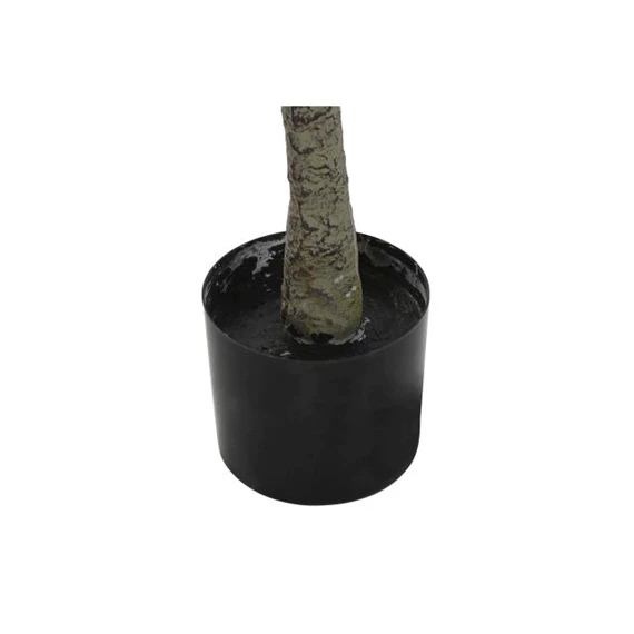 Selyemvirág Olajfa 80x80x180 cm