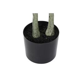 Selyemvirág Olajfa 80x80x180 cm