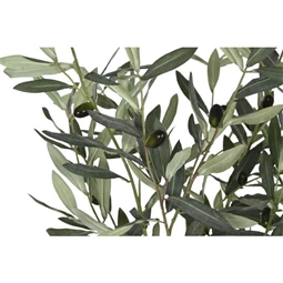 Selyemvirág Olívafa cserepes 42x45x150 cm