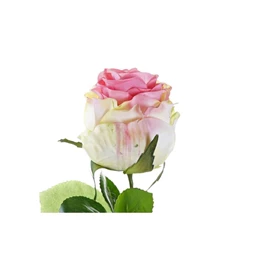 Selyemvirág Rózsa 15x15x83 cm 4 féle