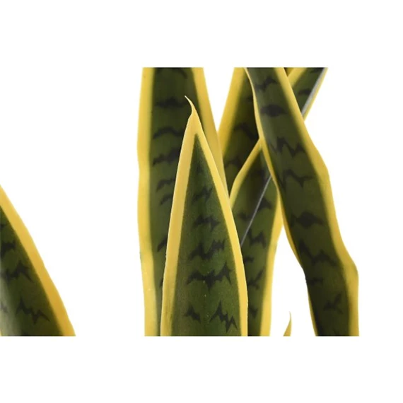 Selyemvirág Sansevieria cserepes 30x30x74 cm