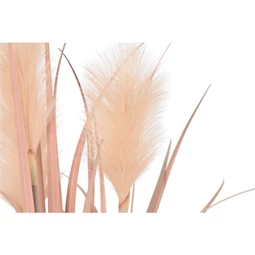 Selyemvirág Tollborzfű cserepes 25x25x80 cm
