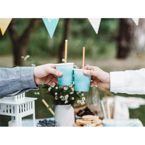 Szívószál papír 19,5cm színes S/10