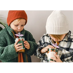 Szívószál pterodactyl 19,5 cm mix S/6