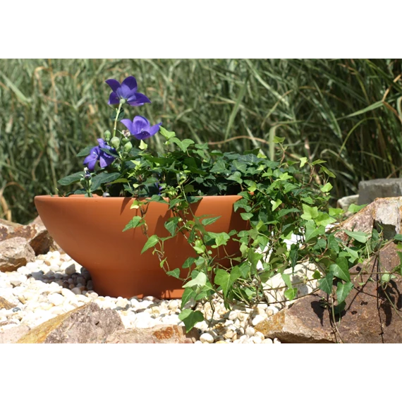 Tál 22 cm