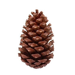 Toboz hálós 10-14 cm S/7