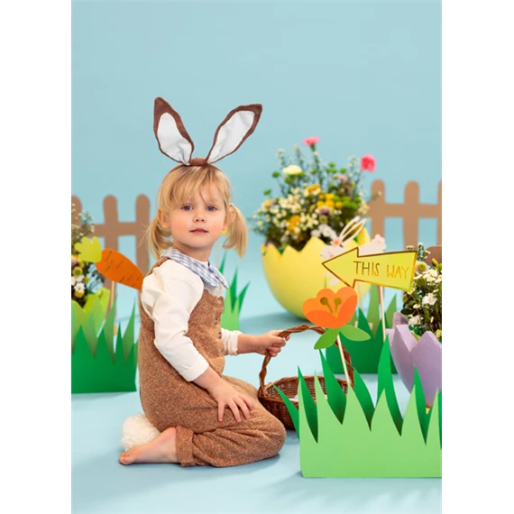 Tojásvadász készlet, vegyes, 8-22,5x6-24 cm S/10