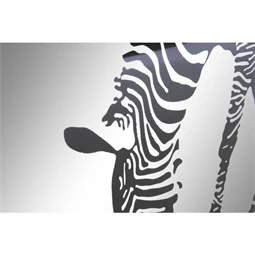 Tükör zebrás 60x3,5x80 cm