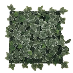 Zöldfal Borostyánnal 50x50 cm