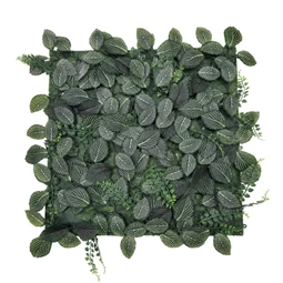 Zöldfal Fittonia levelekkel 50x50 cm