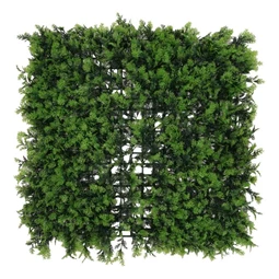 Zöldfal buxus levelekkel 1x1 m