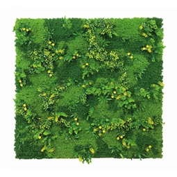 Zöldfal mohára emlékeztető növényekkel 1x1 m
