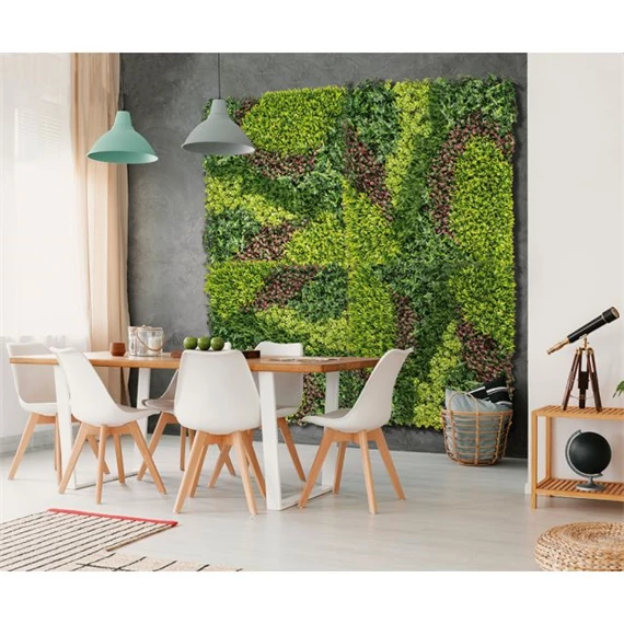 Zöldfal vegyes levelekkel 1x1 m